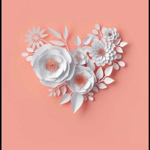 Meet your Posher, Kaya